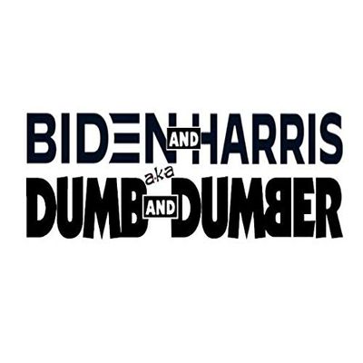 Biden Harris Dumb and Dumber Decal by Check Custom Design - Multiple Sizes and Colors