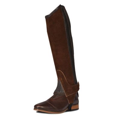 Ovation Kids' Pro Suede Ribbed Half Chaps - Youth Equestrian Horseback Riding Protective Gaiters with Ribbed Elastic Panels, Hidden Coil Zipper & Snap Closures, Brown, 16-18 (C) Tall