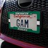 GRAPHICS & MORE Binghamton Bearcats Stripes License Plate Tag Frame view 3