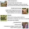 Safety Net for Kids, Climbing Rope Net Cargo Rope Ladder Truck Trailer Heavy Duty Netting Balcony Railing Stair Protection Fence Decor Birds Net (Size : 4 * 5m(13 * 16ft)) view 3