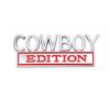 Cowboy Edition Emblem Car Side Rear Front Hood Trunk Door Badge 3D Decal Sticker Fit for Car Truck SUV (Cowboy, Silver Red) view 1