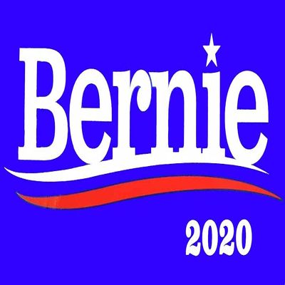 Bernie Sanders 2020 Blue 3.75x7.5 Vinyl Bumper Sticker Decal