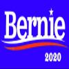 Bernie Sanders 2020 Blue 3.75x7.5 Vinyl Bumper Sticker Decal view 1