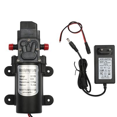 ZTBH Submersible Sump Pump 12V 60W Micro Electric Diaphragm Water Pump, Automatic Switch, High Pressure Car Washing Spray Water Pump, Transfer Pump (Voltage : C and Plug 1)