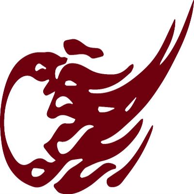 Decal Stickers of Comet 02 (Burgundy) (Set of 2) Premium Waterproof Vinyl Decal Stickers for Laptop Phone Accessory Helmet Car Window Mug Tuber Cup Door Wall Decoration - ANDstic520522RE