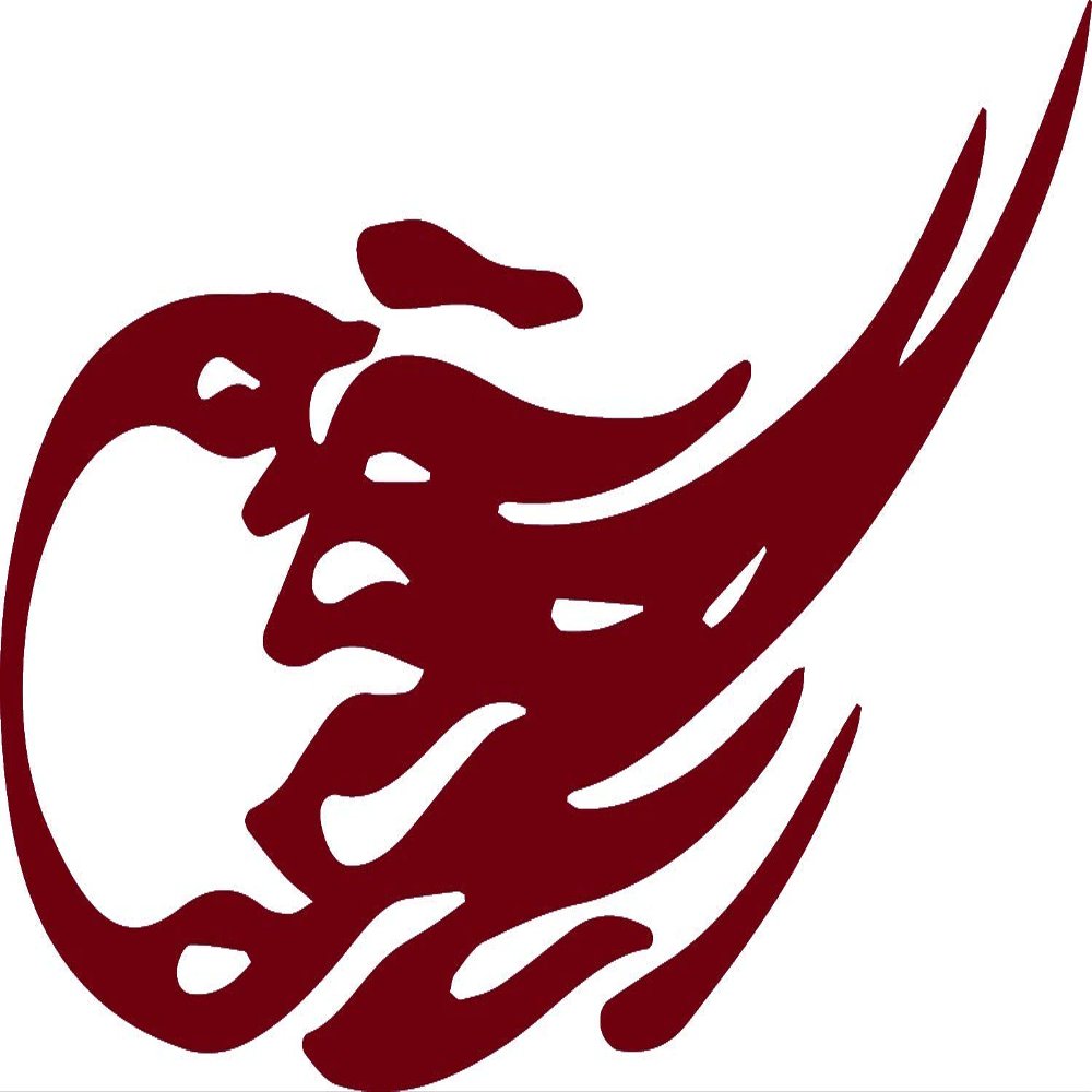 Decal Stickers of Comet 02 (Burgundy) (Set of 2) Premium Waterproof Vinyl Decal Stickers for Laptop Phone Accessory Helmet Car Window Mug Tuber Cup Door Wall Decoration - ANDstic520522RE