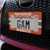 GRAPHICS & MORE Sam Houston State Bearkats Stripes License Plate Tag Frame view 3