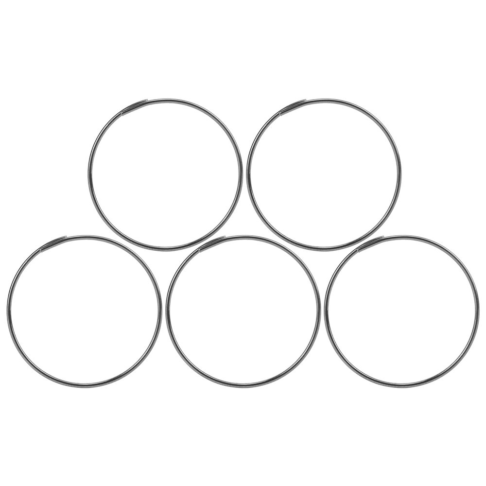 Dilwe Bike Freehub Spring, 5pcs Stainless Steel Wear Freehub Spring Integral Molding Bike Pawl Spring for Fulcrum F0/F1/F3/F5/XL/KT