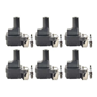 Newparts Premium 6 Ignition Coils & 6 Nickel Spark Plugs Kit For BMW E39 528i E36 M3 L6