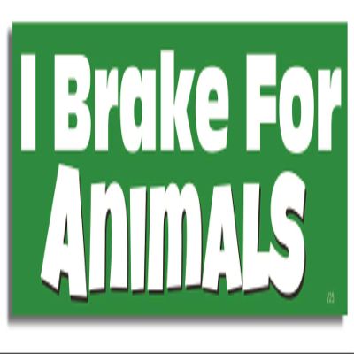 Gear Tatz - I Brake for Animals - Novelty Car Magnet - 2.75 X 9.5 inches - Professionally Made in the USA - Magnetic Decal