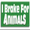 Gear Tatz - I Brake for Animals - Novelty Car Magnet - 2.75 X 9.5 inches - Professionally Made in the USA - Magnetic Decal view 1