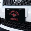 GRAPHICS & MORE University of the Incarnate Word Cardinals Novelty Metal Vanity Tag License Plate view 2