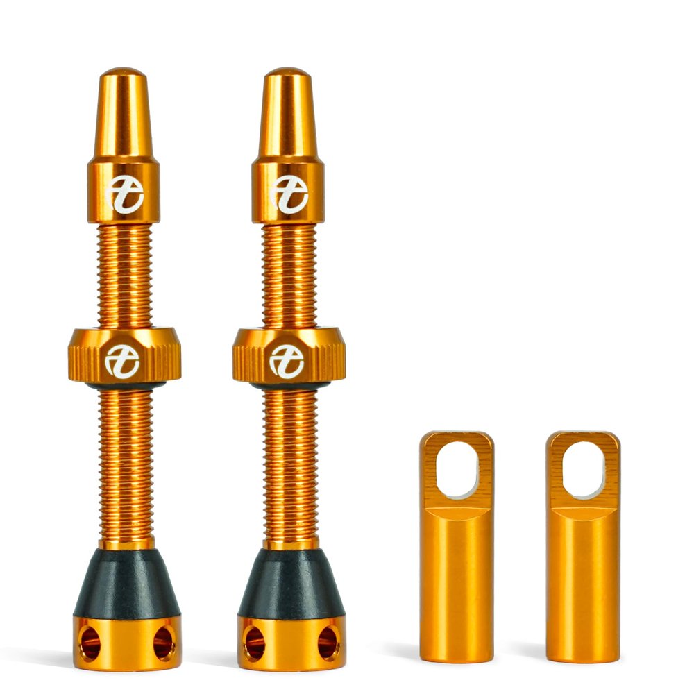 Thinvik Presta Tubeless Valve Stem 48mm,Super Light Alloy Presta Tubeless Valve Stem Kit for Tubeless Tires-2 Tubeless Valve Stem (with Aluminum Alloy Valve Cap) + Valve Core Removal Tool(Orange)