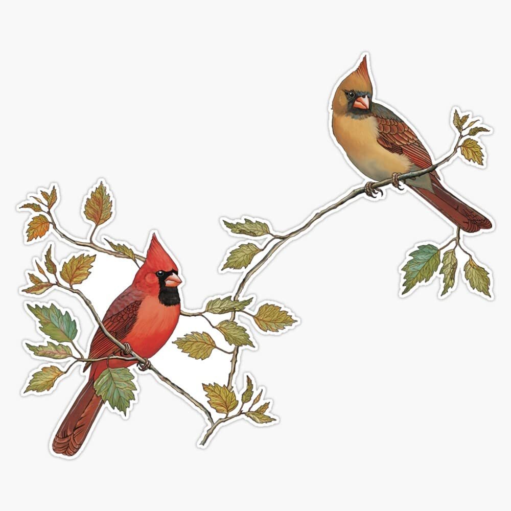 Vision Signs Cardinal Couple Sticker Bumper Sticker Vinyl Decal 5inch