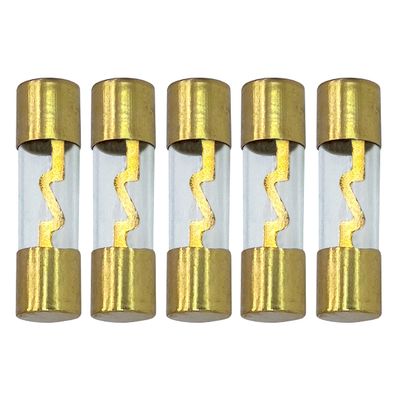 AGU Fuse 40A 40 Amp Gold Glass Inline for Car/Auto/Marine Audio Stereo Amplifier Power Protection (40 Amp)