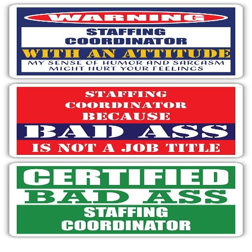 (x3) Certified Bad Ass Staffing Coordinator with an Attitude Stickers | Funny Occupation Job Career Gift Idea | 3M Vinyl Sticker Decals for laptops, Hard Hats, Windows