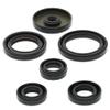 Engine Crankshaft Crank & Oil Seal Set fits - Raptor 80 2002-2008 822229 - Wear-Resistant Seal Set - High Strength Rubber Seals view 1