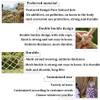 Child Safety Net Climbing Net Cargo Rope Ladder Truck Trailer Heavy Duty Netting Balcony Banister Stair Protection Fence Decor Mesh Playground Netting (Size : 1 * 2m(3 * 7ft)) view 3