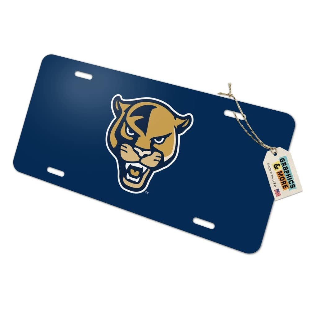Florida International Secondary Novelty Metal Vanity Tag License Plate