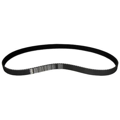 PITMOTO Belt - 800-5M-15