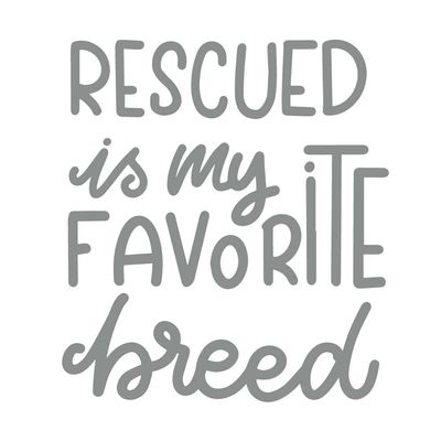 Rescued is My Favorite Breed 12 inch Gray Indoor Outdoor Vinyl Decal