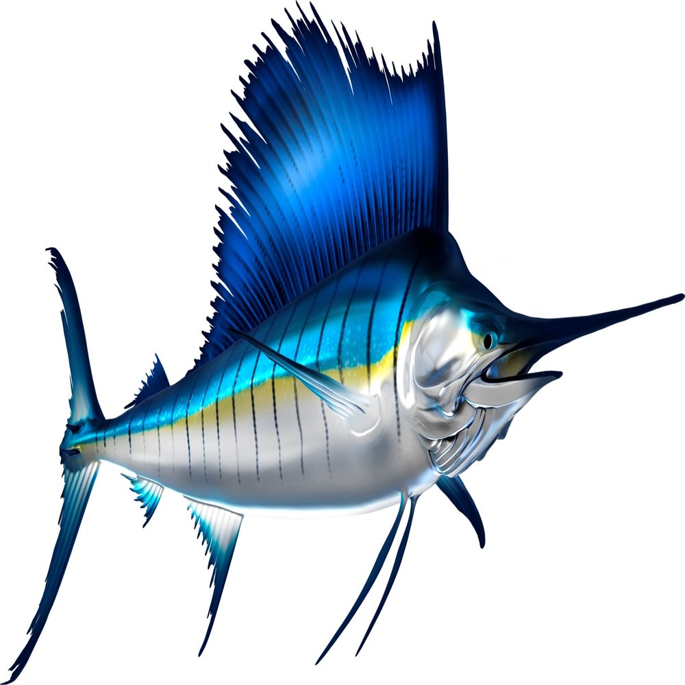 Sail Fish Beautiful Fish Decal | Fishing Decal for Boat, Car, Vehicle, Truck Etc. | Waterproof Vinyl Sticker | Many Sizes & Styles Available | 12" to 40" By Digital Fish Art (X-Large, Position 6)