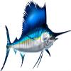 Sail Fish Beautiful Fish Decal | Fishing Decal for Boat, Car, Vehicle, Truck Etc. | Waterproof Vinyl Sticker | Many Sizes & Styles Available | 12" to 40" By Digital Fish Art (X-Large, Position 6) view 1