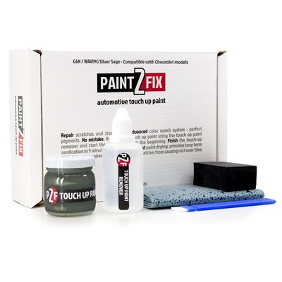 G6N / WA619G Silver Sage Touch Up Paint Kit for Chevrolet 1.35 fl oz