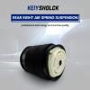 KEIYSHOLCK Rear Right Air Spring Suspension Bag for Mercedes Benz view 2