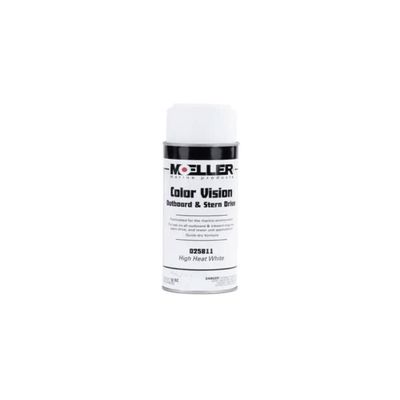 Color Vision Paint Color: High Heat White