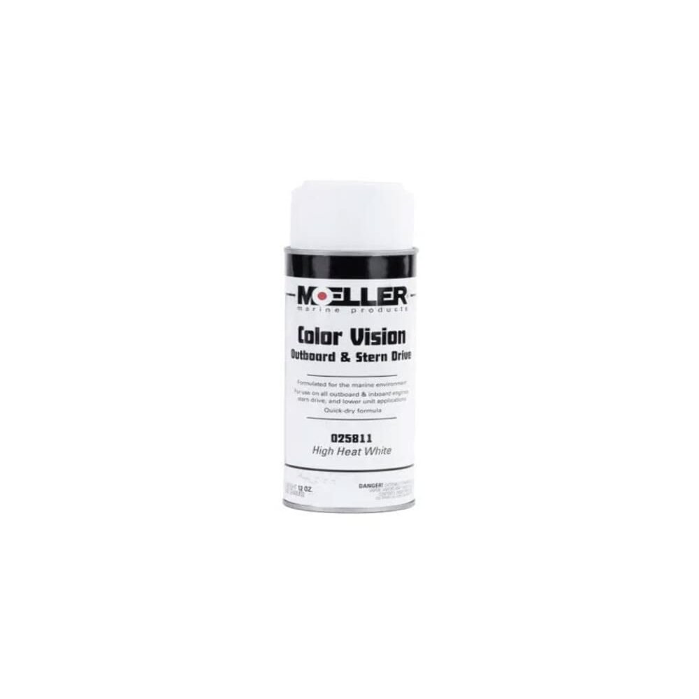 Color Vision Paint Color: High Heat White
