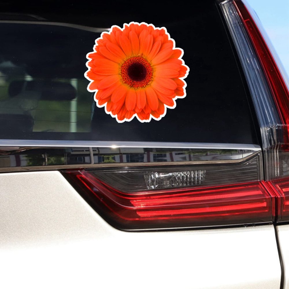 Daisy Flower Collection Daisies Floral Vinyl Decal Sticker for Car Boat Laptop Reflective Glossy Choose Size 032201 (20'' x 19.8" (50.8cm x 50.3cm), Reflective)