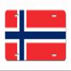 European Flag License Plate 6X12 Full Size for Front of Car, Rust-Free, Thick Aluminum Front License Plate, Made in The USA view 1