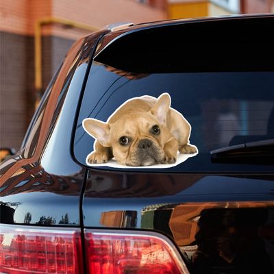 French Bulldog Bull Dog Puppy Lying Down Looking Vinyl Decal Sticker Photo White Background Isolated for Car Boat Laptop Reflective Glossy Choose Size (16'' x 10.4" (40.6cm x 26.4cm), Glossy)