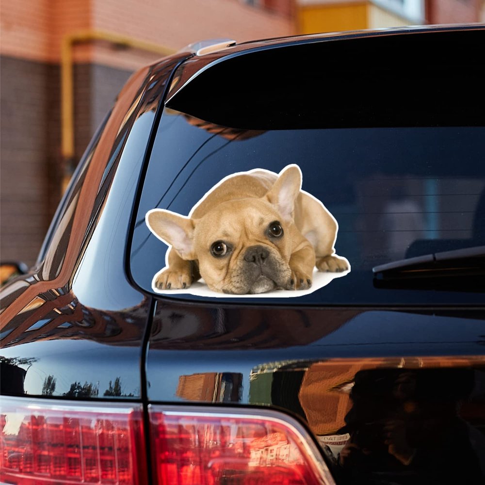 French Bulldog Bull Dog Puppy Lying Down Looking Vinyl Decal Sticker Photo White Background Isolated for Car Boat Laptop Reflective Glossy Choose Size (16'' x 10.4" (40.6cm x 26.4cm), Glossy)