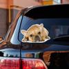 French Bulldog Bull Dog Puppy Lying Down Looking Vinyl Decal Sticker Photo White Background Isolated for Car Boat Laptop Reflective Glossy Choose Size (16'' x 10.4" (40.6cm x 26.4cm), Glossy) view 1