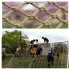 Cargo Net Rope Kids Climbing Net Safety Nets Rope Ladder Truck Trailer Heavy Duty Netting Treehouse Decor Net Balcony Banister Stair Protection Net Playground Rock Grid ( Size : 2*10m(7*33ft) ) view 1