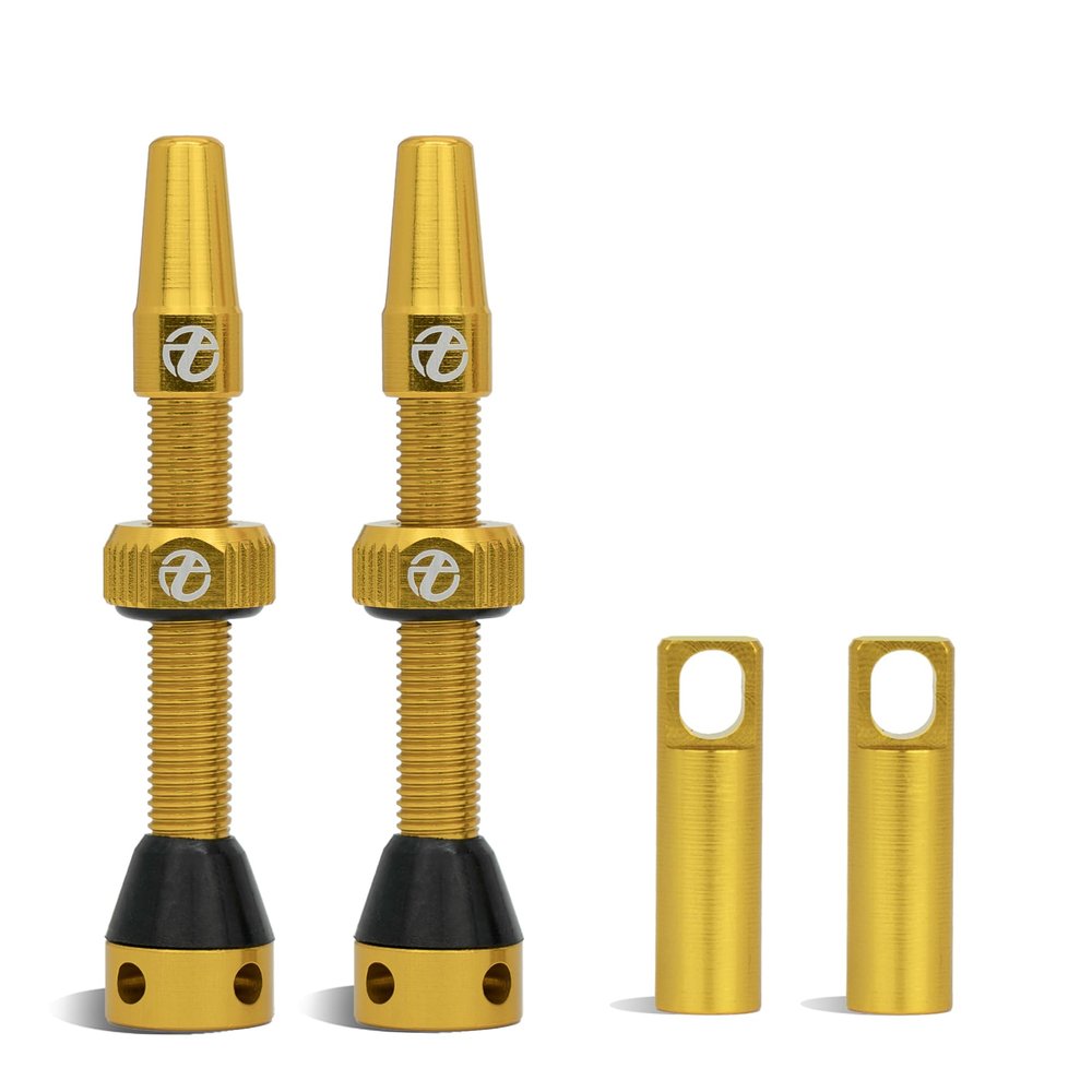 Thinvik Presta Tubeless Valve Stem 48mm,Super Light Alloy for Tubeless Tires-2 Tubeless Valve Stem (with Aluminum Alloy Valve Cap) + Valve Core Removal Tool(Gold)
