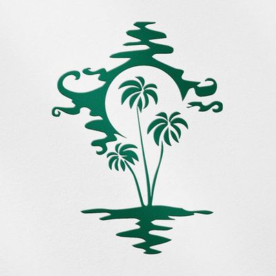 Transparent Decal Stickers of Palm Tree (Green) Premium Waterproof Vinyl Decal Stickers for Laptop Phone Accessory Helmet Car Window Mug Tuber Cup Door Wall Decoration ANDSKUSg11742GR