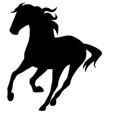 Arabian Horse Design #5 Vinyl Decal Sticker Car Window Bumper Cup Horseshoe Western Cowboy (Height: 5", Black)