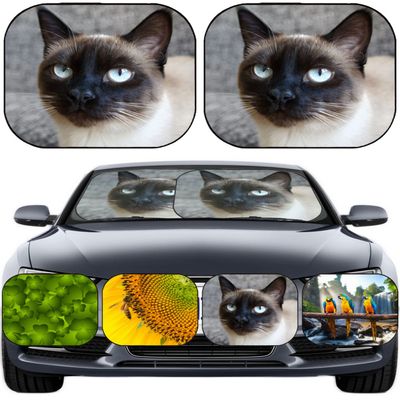 Windshield Sunshade Pathfinder 2pcs Universal Fit Windshield SunShades Pathfinder Fits Most MUV, Hatchback, Pick-up Truck, MPV 19201214 Portrait of a si Printed in USA