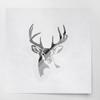 Transparent Decal Stickers of Whitetail Buck Deer Stencil 2 (Metallic Silver) Premium Waterproof Vinyl Decal Stickers for Laptop Phone Accessory Helmet Car Window Mug Tuber Cup USCSKUS0a8962SI072022 view 1