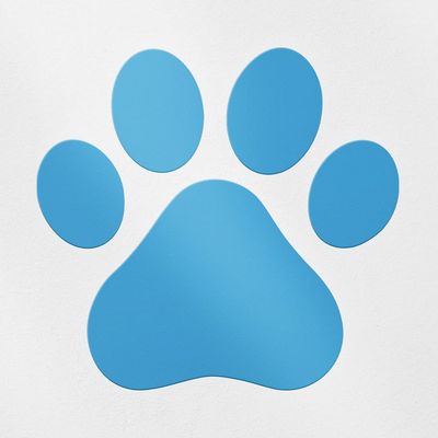 Transparent Decal Stickers of Dog Paw (Azure Blue) Premium Waterproof Vinyl Decal Stickers for Laptop Phone Accessory Helmet Car Window Mug Tuber Cup Door Wall Decoration ANDSKUSd19642BE080322