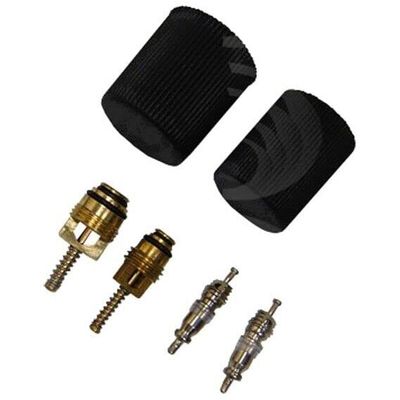1311569 GPD A C AC Caps & Valve Core Seal Kit for Chevy Town and Country