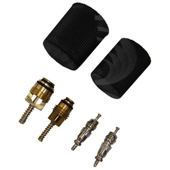 1311569 GPD A C AC Caps & Valve Core Seal Kit for Chevy Town and Country