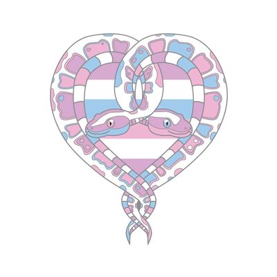 Dark Spark Decals Bigender Boa Constrictors, Snake Heart LGBTQ+ Flag - 12 Inch Full Color Vinyl Decal for Indoor or Outdoor use, Cars, Laptops, Dcor, Windows, and More