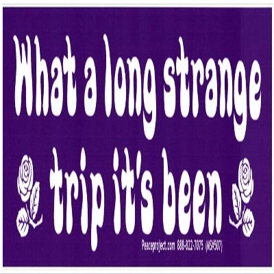 What a Long Strange Trip It's Been Small Magnetic Car Bumper Sticker Magnet Decal for Lockers Fridges Magnetic Surfaces 5.63-by-1.63 Inches (Magnetic Backing)