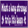 What a Long Strange Trip It's Been Small Magnetic Car Bumper Sticker Magnet Decal for Lockers Fridges Magnetic Surfaces 5.63-by-1.63 Inches (Magnetic Backing) view 1