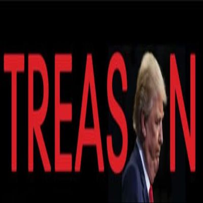 Kramer Treason Anti-Trump Sticker for Car Vinyl Decal Truck Window Car Bumper Sticker 10 3 in.