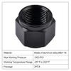 EVIL ENERGY 4AN Flare Cap Block off Fitting Plug Black 2PCS view 3